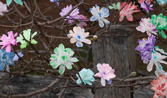 Fence of flowers.