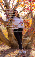 High End Photo Retouching Per Photo $8.00.