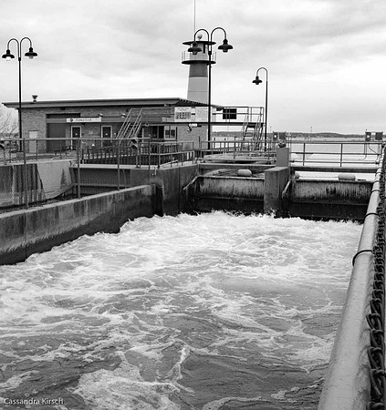 "Tenny Park Dam"2018