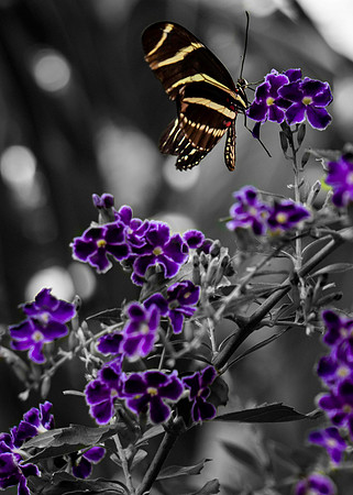 untitled-10-Edit-Edit-Edit