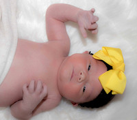Newborn.