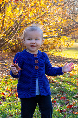 Toddler Portrait.
