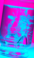 Glass Product Business Shot - With Water Ink Art